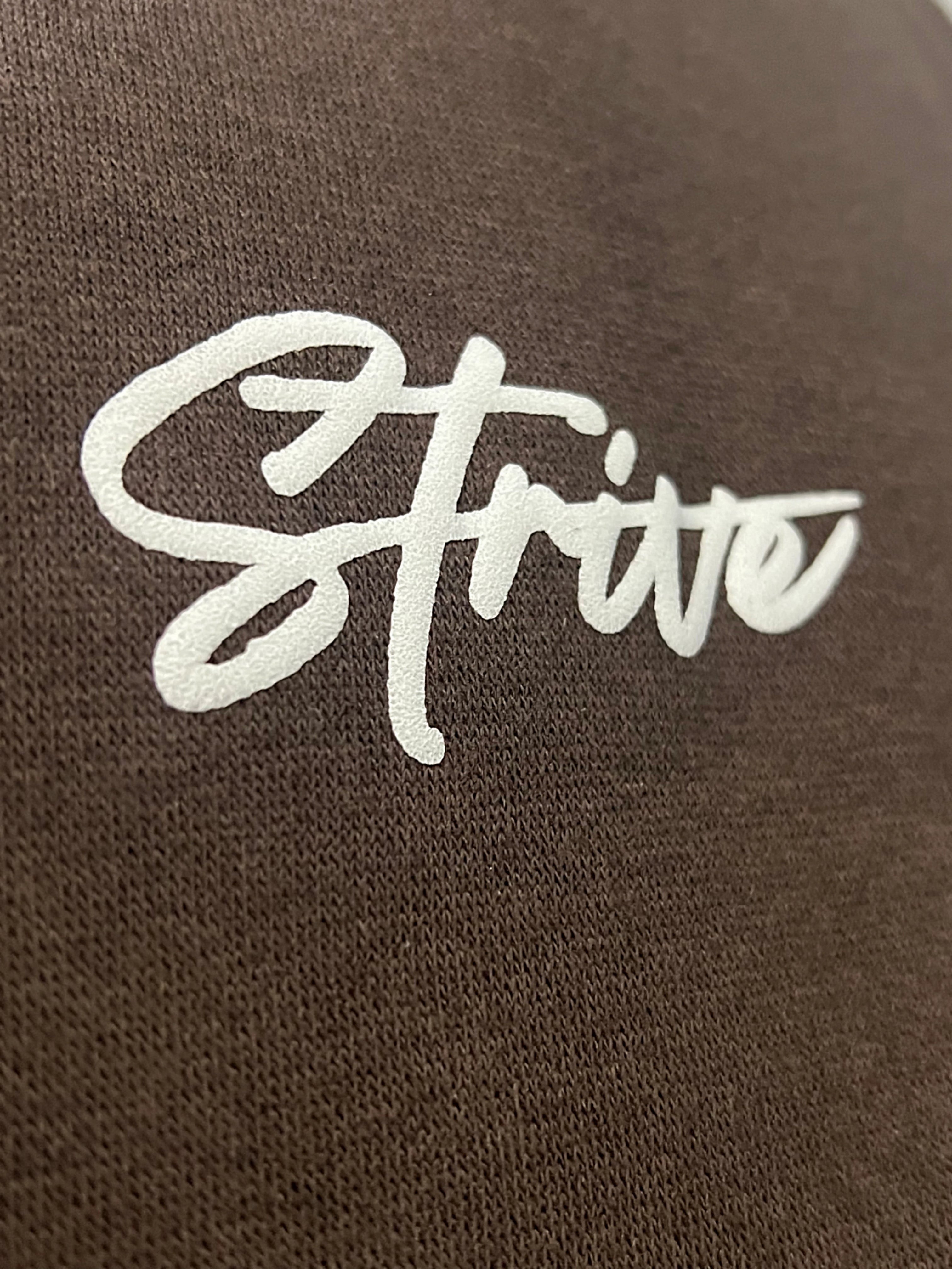 Brown STRIVE Hoodie